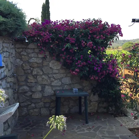 Studio-appartment In Mit Meerblick Apartment