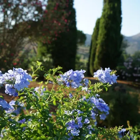 Apartment Studio-appartment In Mit Meerblick Porto Azzurro