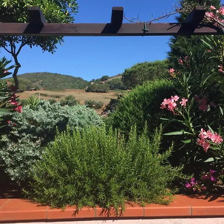 Apartment Studio-appartment In Mit Meerblick *