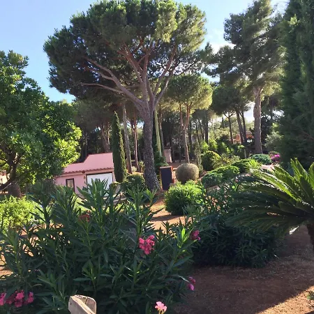 Apartment Studio-appartment In Mit Meerblick *